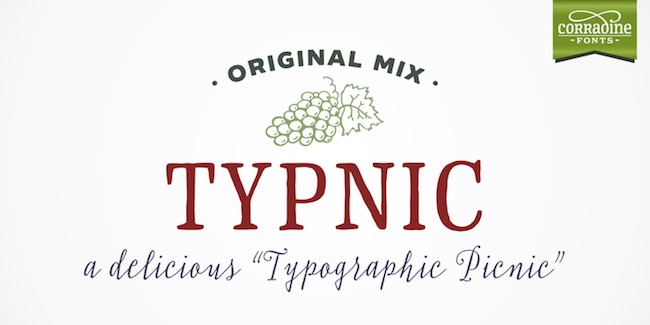 Typnic Font