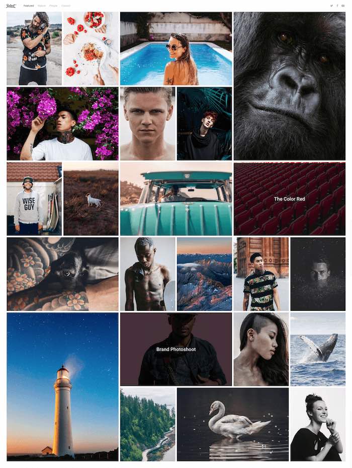 Salient Portfolio Theme