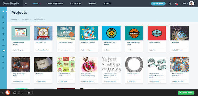 buddyboss social portfolio buddyboss-social-portfolio