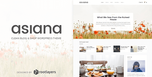 Asiana wp magazine theme