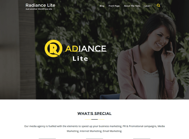 Radiance Lite, Free Responsive Plugin