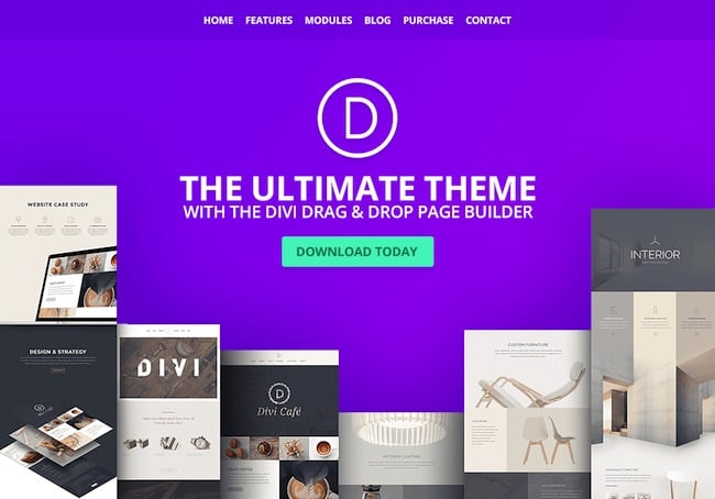 divi-popular-multipurpose-theme