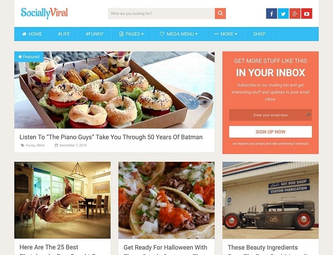 Viral Content Sites, Wp theme