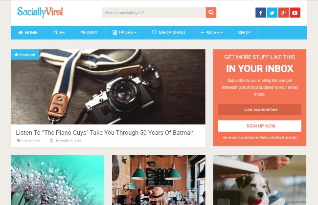 8. socially viral socially viral