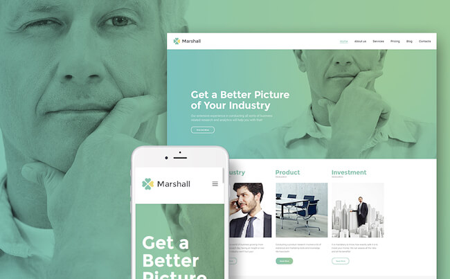 Marshal affiliate agency theme Marshal affiliate agency theme