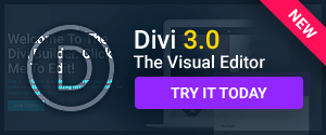 Divi Theme