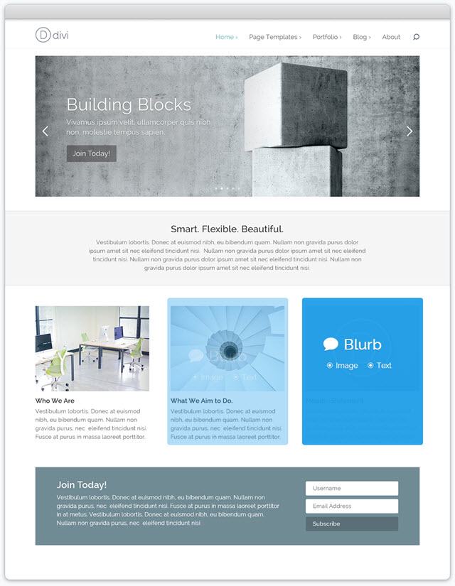 Divi theme Divi Theme