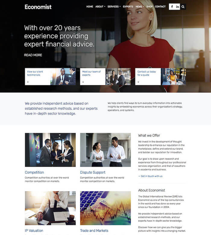 Economist Finance WordPress Theme