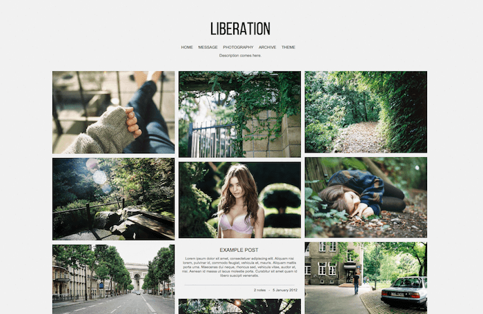 Liberation Tumblr Theme