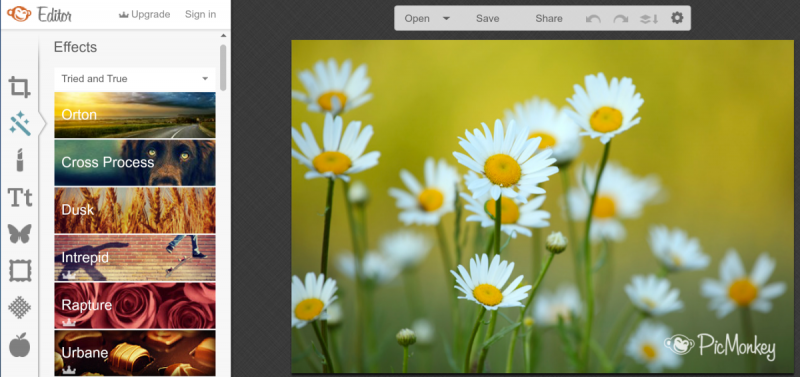 picmonkey Best photo editing softwares