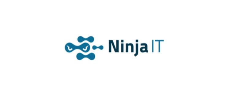 10 Ninja IT Logo