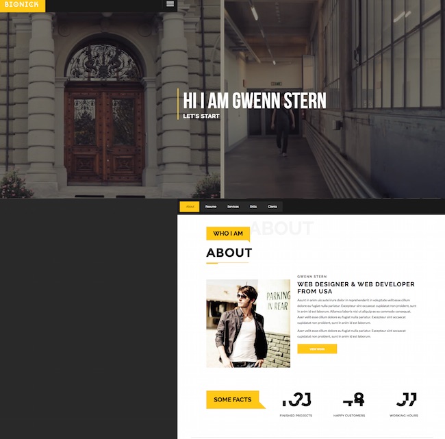 Bionick wordpress theme Bionick-wordpress-theme