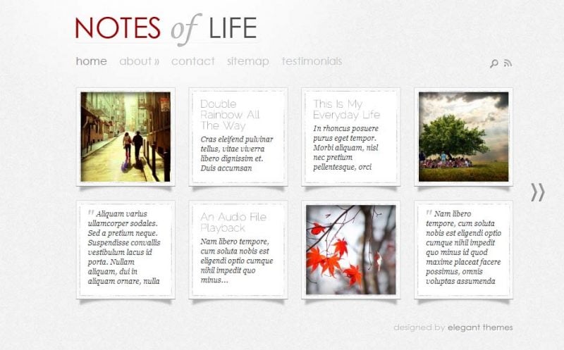 Daily Notes Tumblr Type WordPress Theme