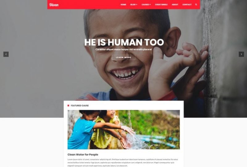 Divan Non Profit WordPress Theme