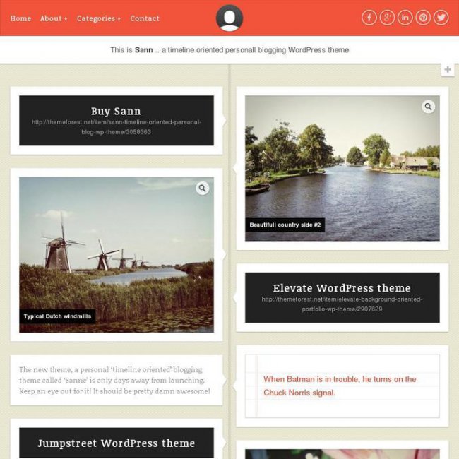 Sann Facebook timeline theme Top WordPress Timeline Style WordPress Themes