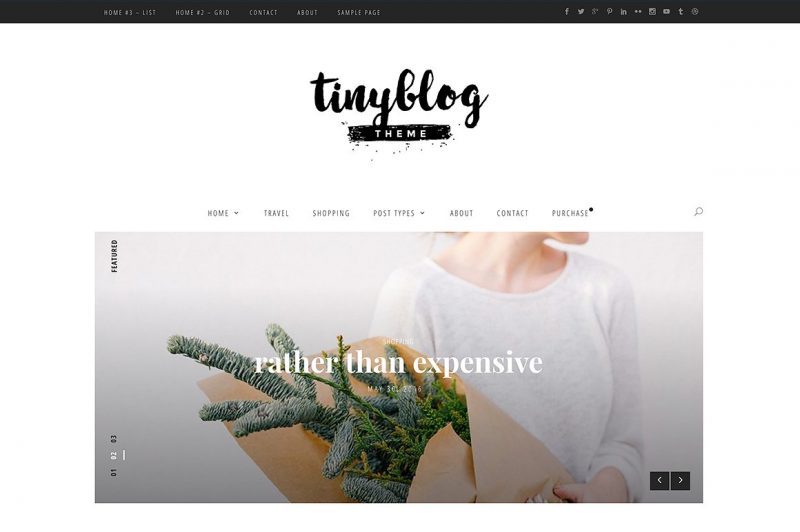 TinyBlog Tumblr Like WordPress Theme