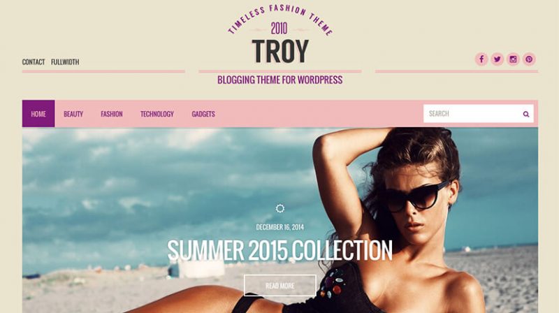 Troy Tumblr Style WordPress Theme