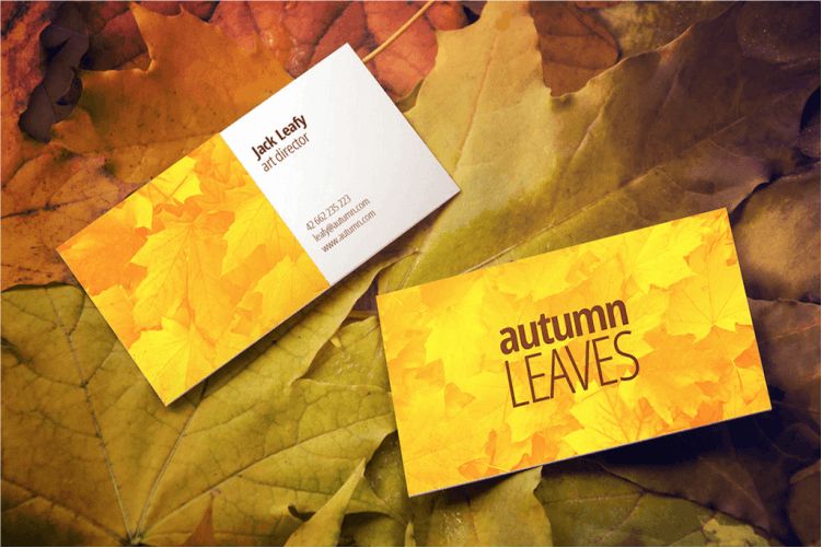 Best Free PSD Business Card Mockups