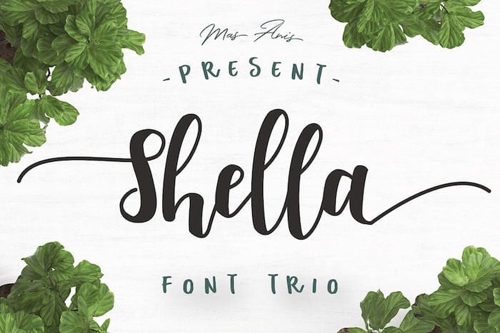 Shella Clean font Shella Clean font