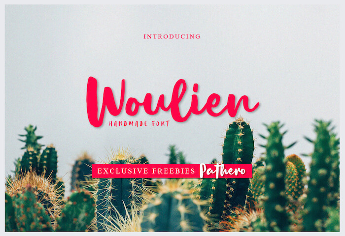 Woulien Script Font