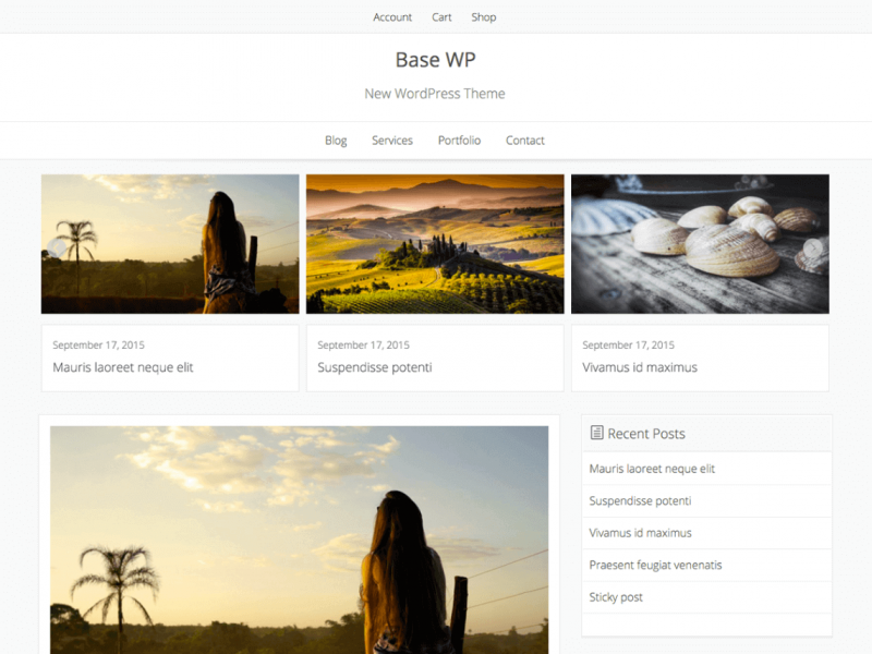 Base WP WooCommerce Theme