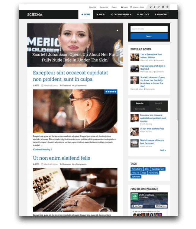 Review of Schema Theme Review of Schema Theme