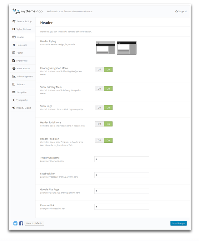 Schema Theme Header