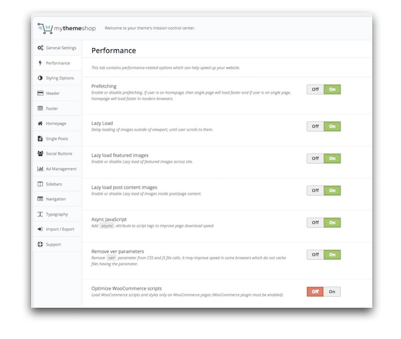 Schema Theme Performance Settings