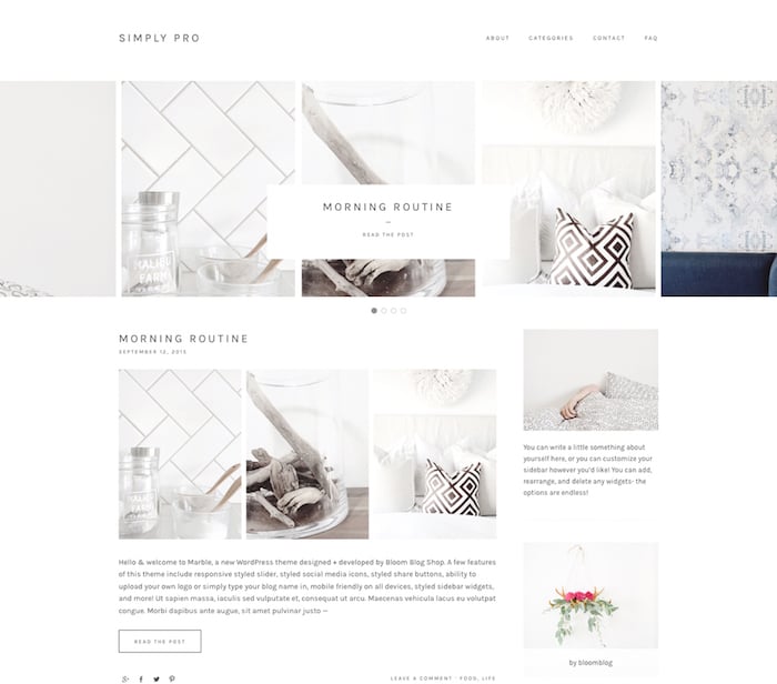 Simply Pro Theme Simply Pro Theme