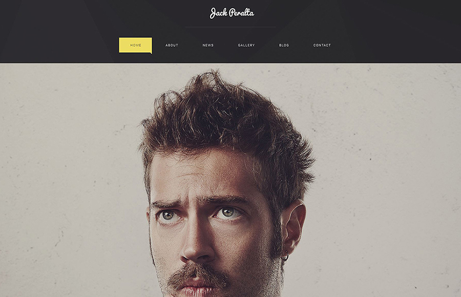 54585 big Writer WordPress Theme
