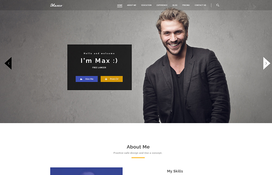 65706 big Max CV - Resume & Personal Portfolio WordPress Theme