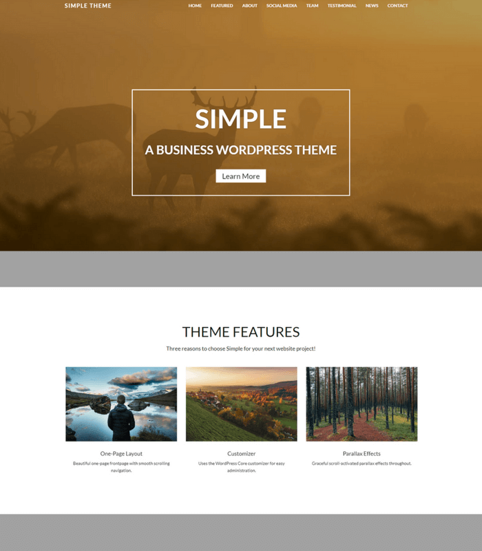 3. Simple Simple WordPress Theme