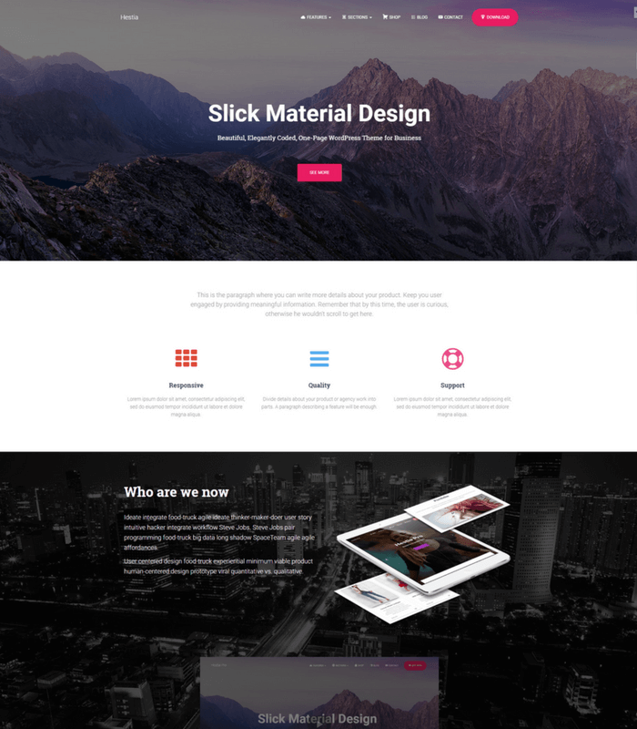 4. hestia Hestia Minimal WordPress Theme