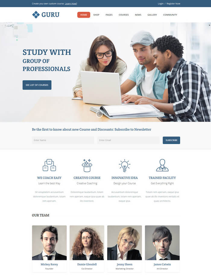 Guru WordPress Theme