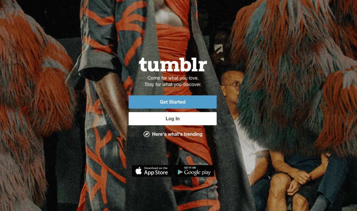 Tumblr Photography Themes