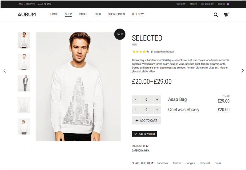 Aurum 1 1 e1534075149878 Aurum WordPress Theme