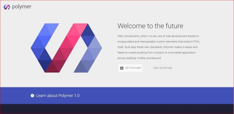 Polymer Polymer Framework
