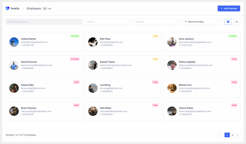 User Role Amelia Plugin User Role