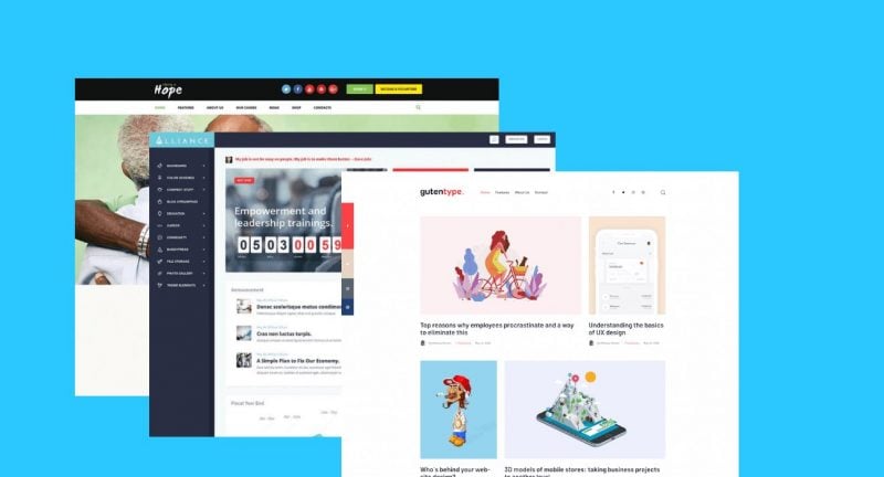 Mejor micronicho WordPress Temas