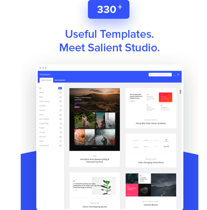 Salient Theme Demo Template