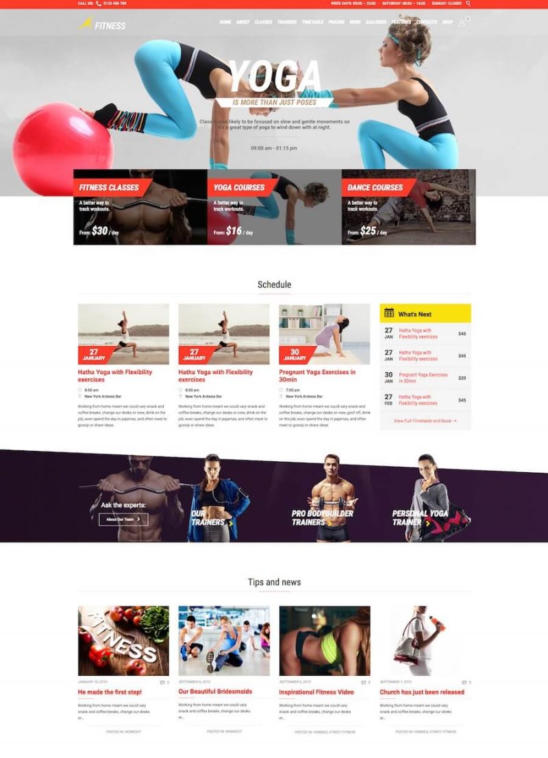 Gym & Fit