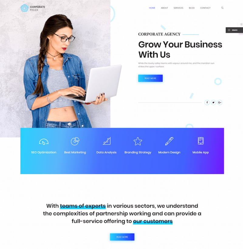 Phlox Pro Elementor Theme