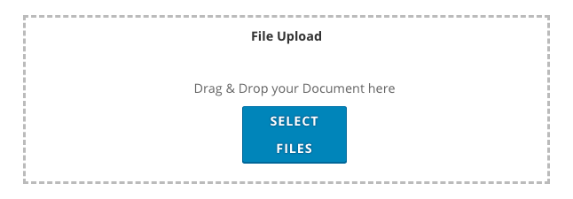 File Upload Option