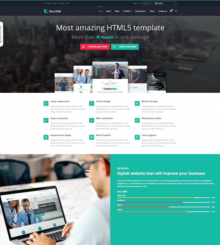 Bacotna Creative HTML Template Bacotna