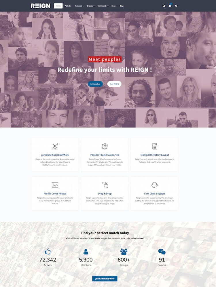 Reign BuddyPress Theme Reign-BuddyPress-Theme