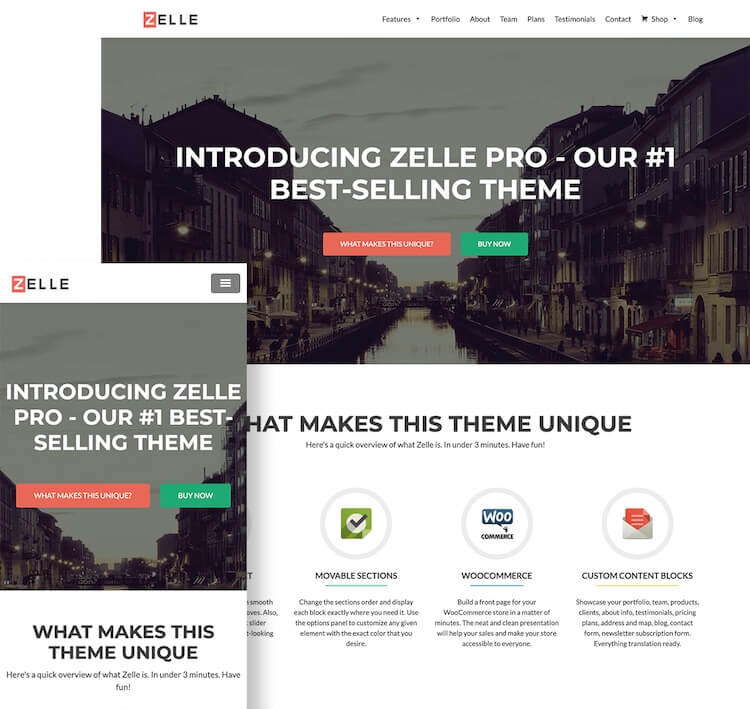 zelle pro main Zelle Pro