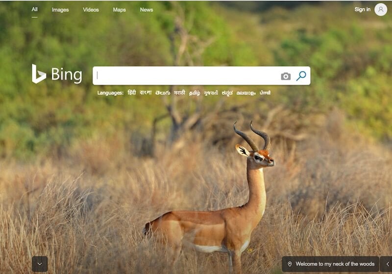 Bing Search Engine Bing