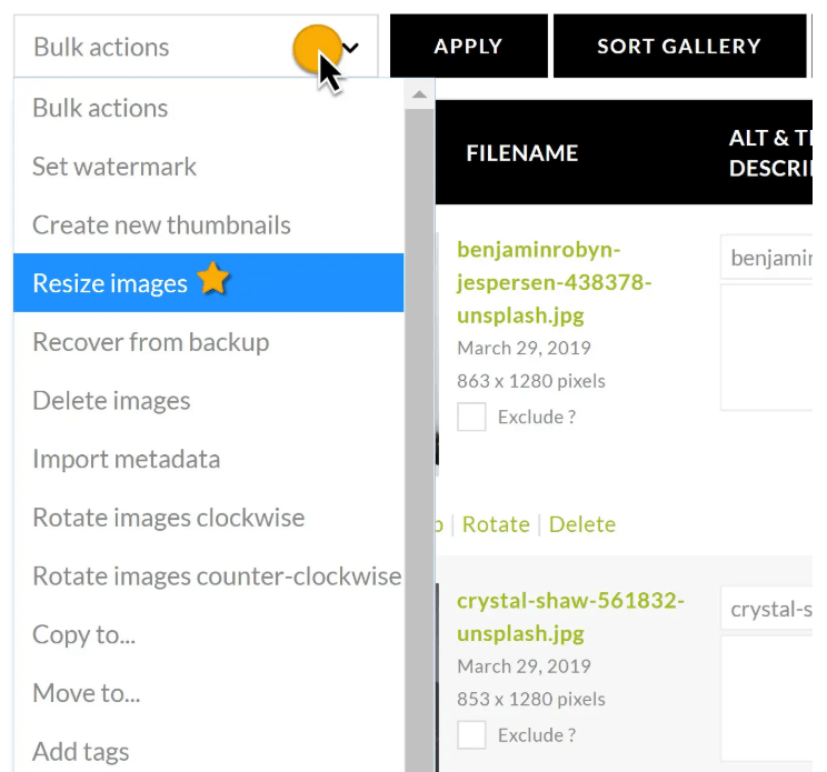 Bulk Resize Bulk Resize Images