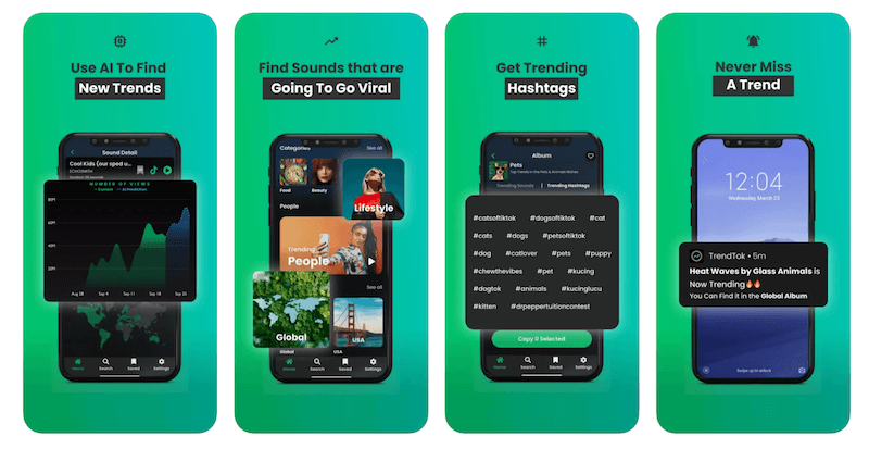 TikTok Ad Creatives TikTok Ad Creatives