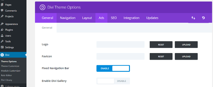 Options du thème Divi